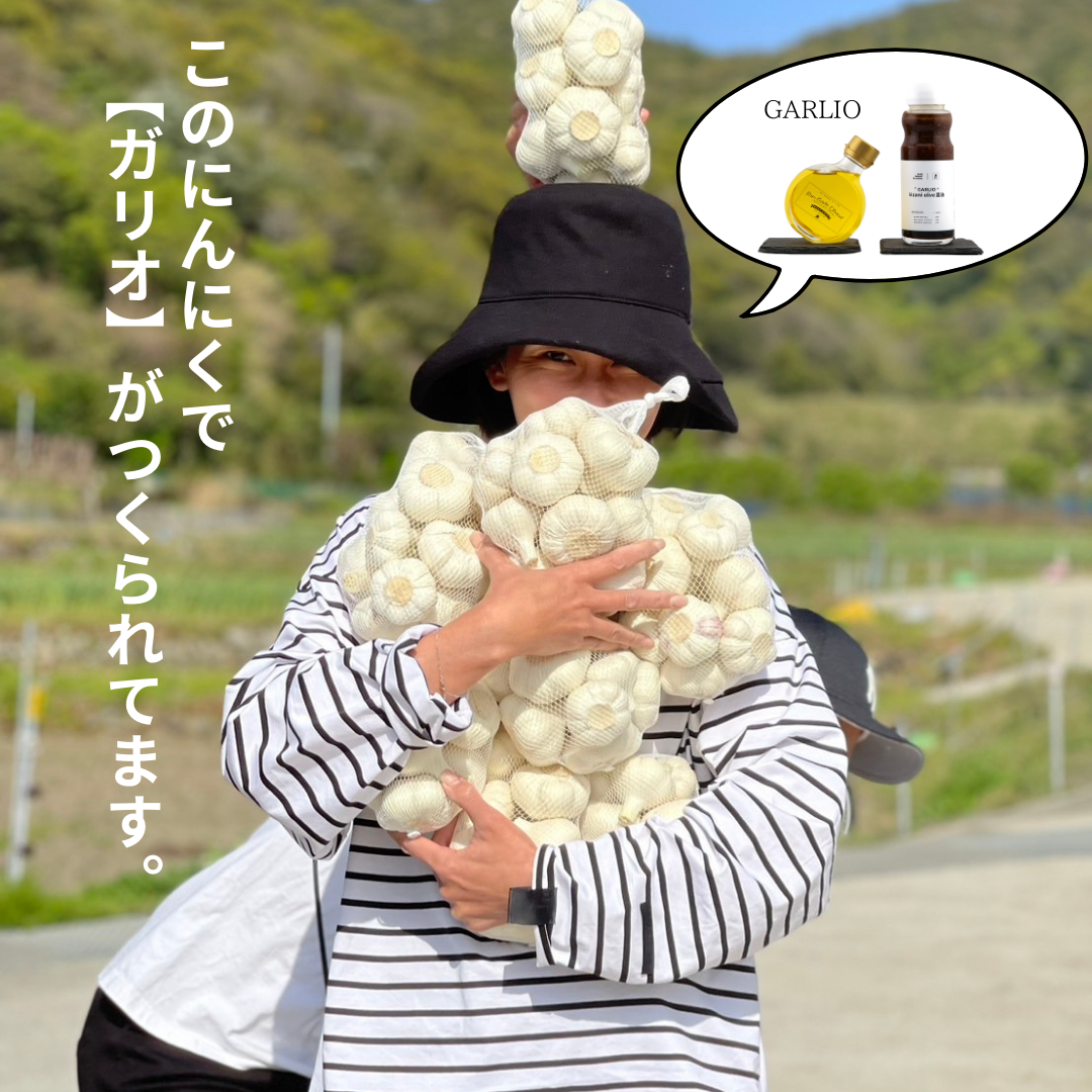 今期最後の収穫分【生にんにく】1kg入り:1週間以内