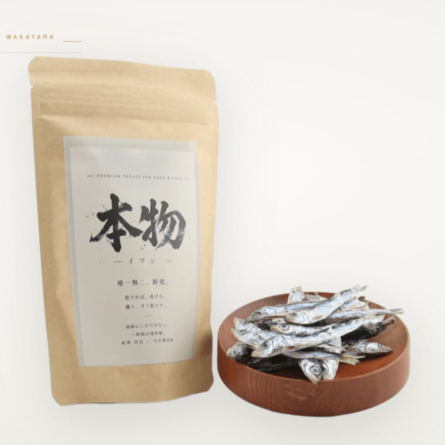 本物イワシ ～ 一時間の約束 ～