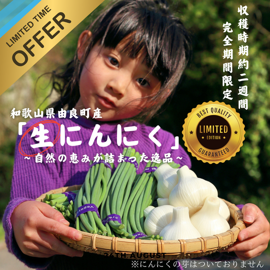 予約開始【生にんにく】収穫直後→(４月中旬)順次お届け 1kg入り