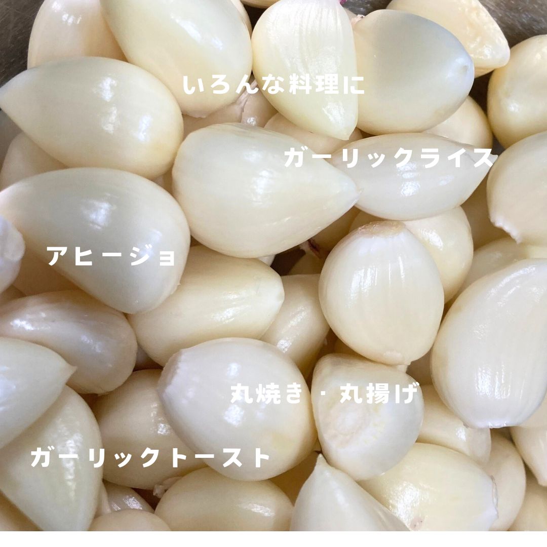 予約開始【生にんにく】収穫直後→(４月中旬)順次お届け 1kg入り