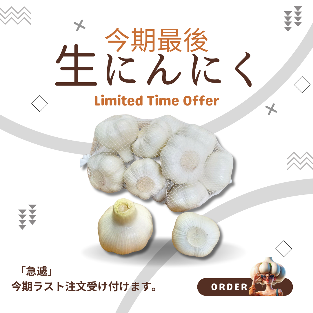 今期最後の収穫分【生にんにく】1kg入り：１週間以内