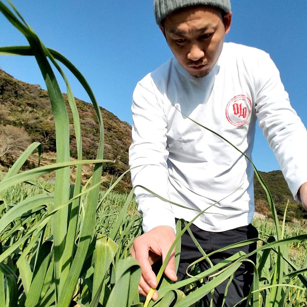 予約受付「にんにくの芽、500ｇ」4月上旬～産直