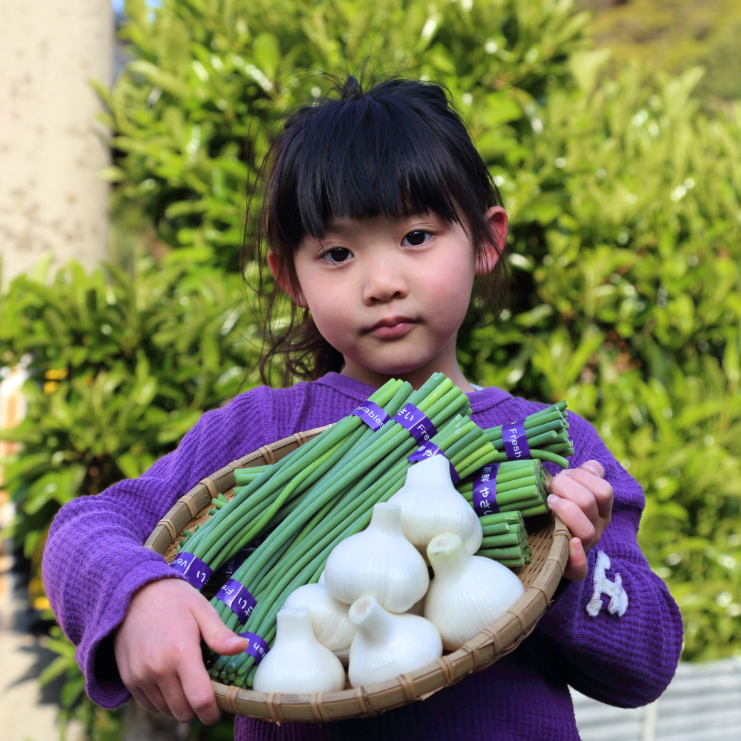 予約受付「にんにくの芽、500ｇ」4月上旬～産直